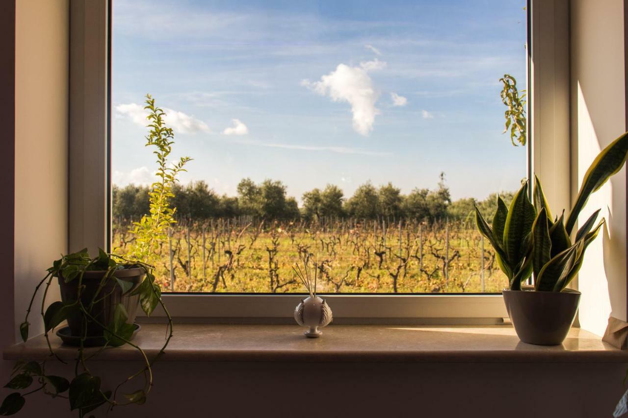 Tenuta Vigna Del Noce 科拉托 外观 照片